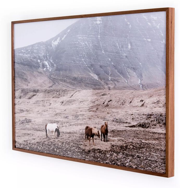 Wild Horses