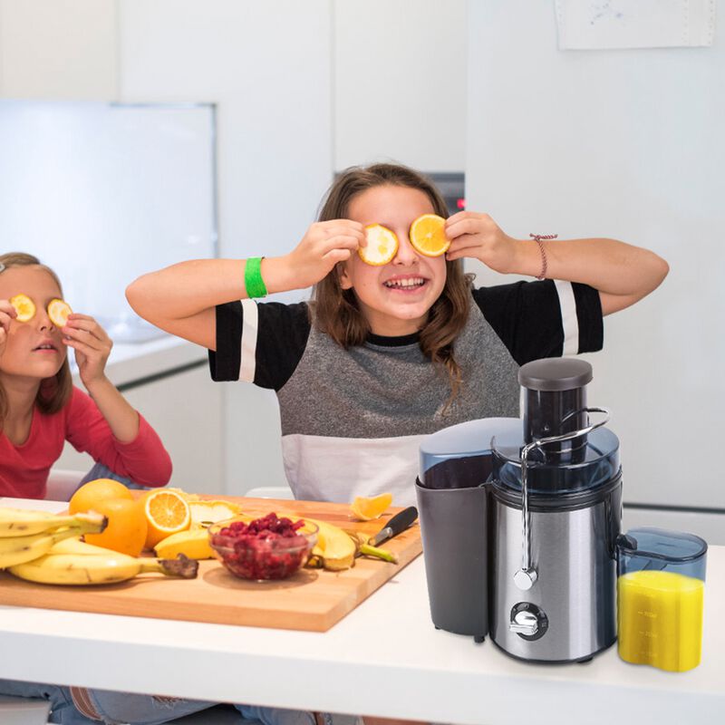 1000W Centrifugal Juicer Juice