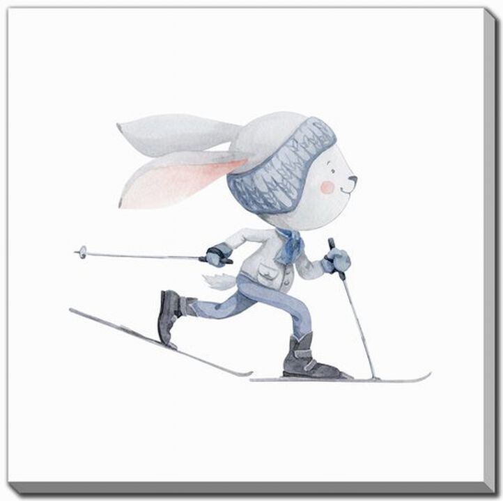 Cross Country Skiing Bunny