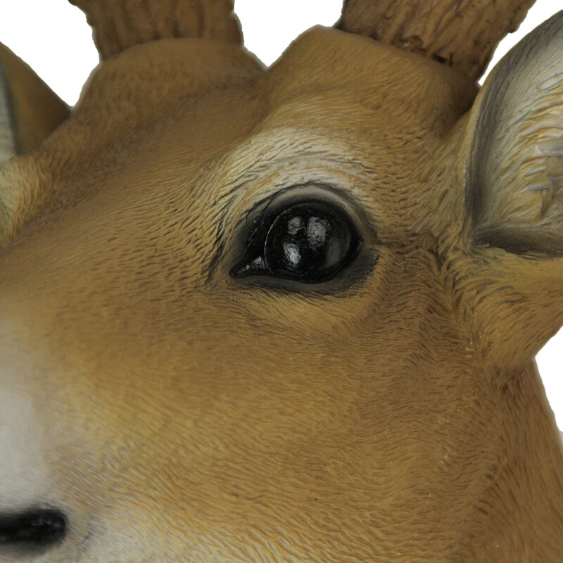 Buck Horns Amazing Antlers Wall Mounted Trophy Deer Head Sculpture image number 3
