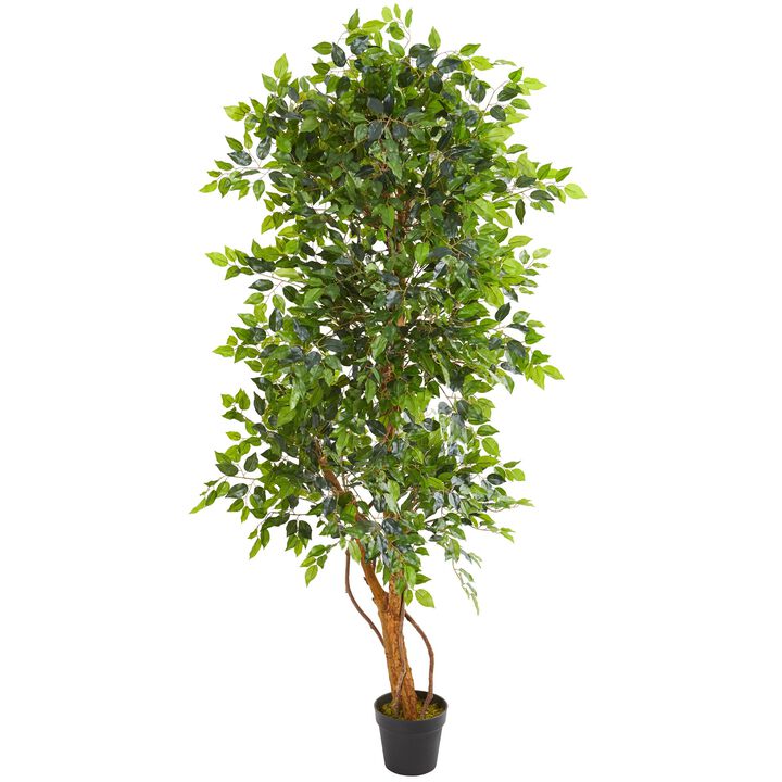 HomPlanti 6 Feet Elegant Ficus Artificial Tree