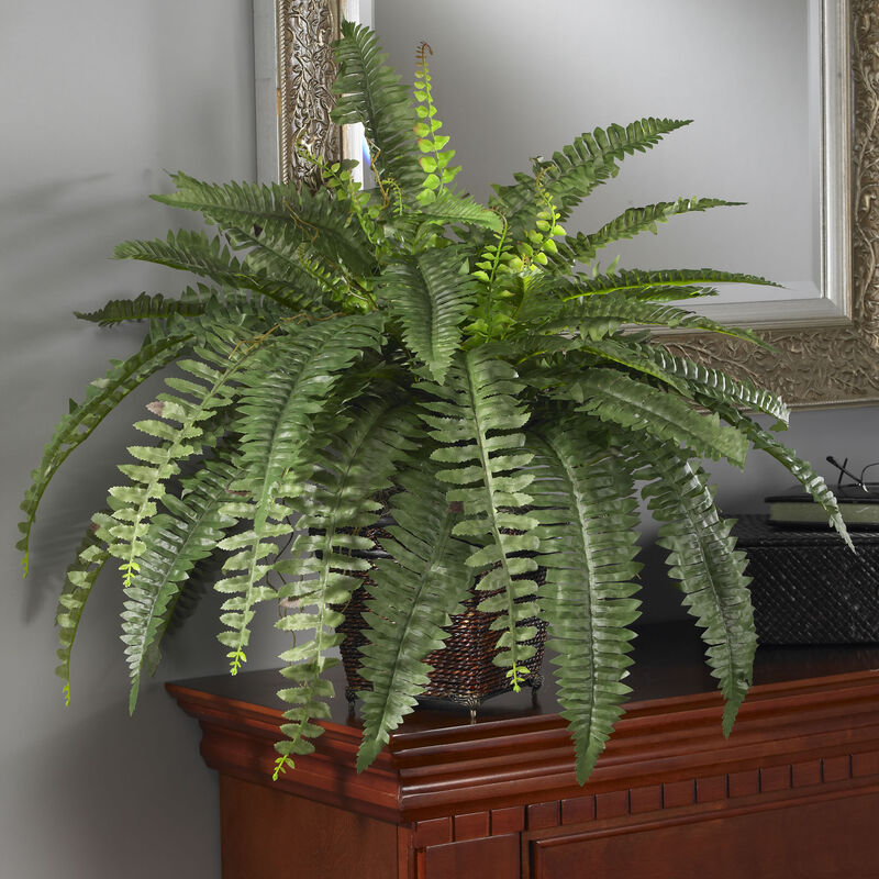 Nearly Natural Boston Fern w/Wood Wicker Basket