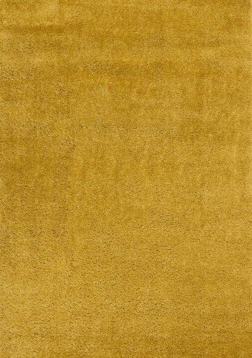 HomeRoots Area Rug