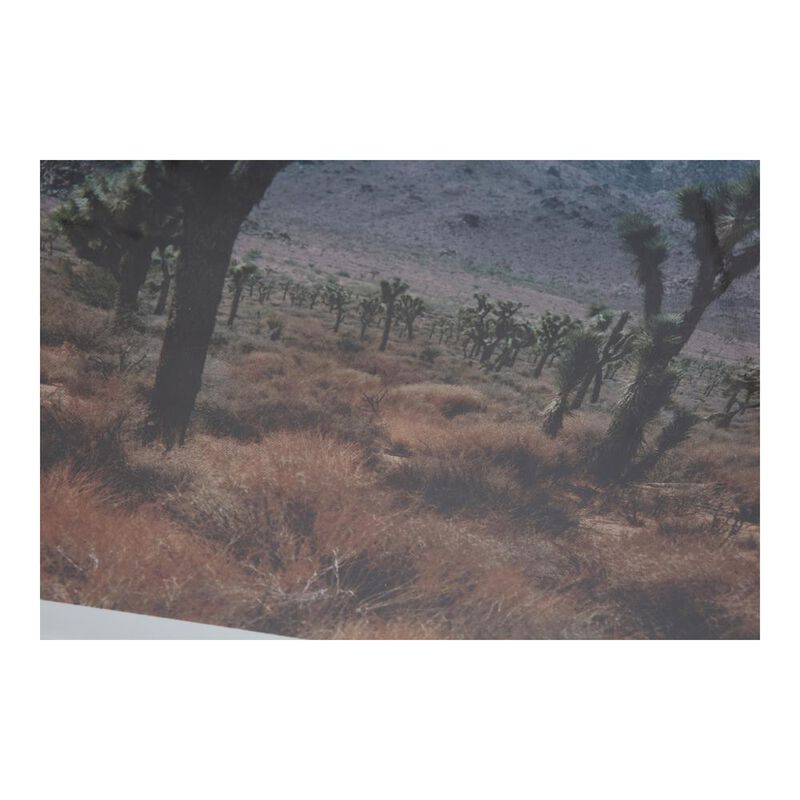 Moe’s Desert Land Framed Print