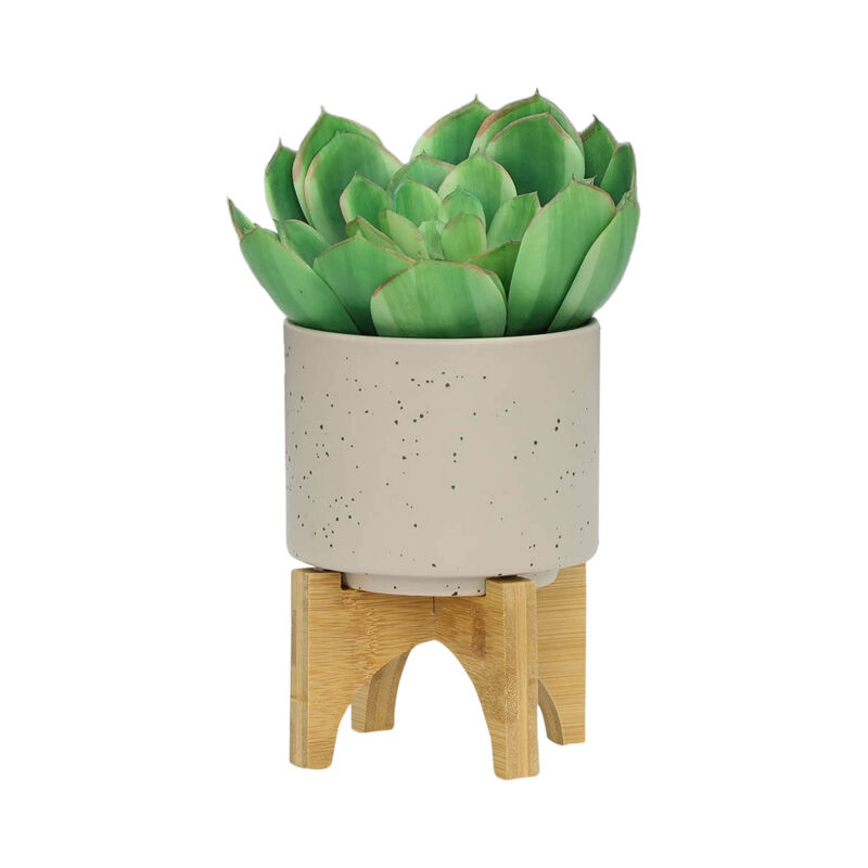 Planter with Wood Stand, Matte Beige Set