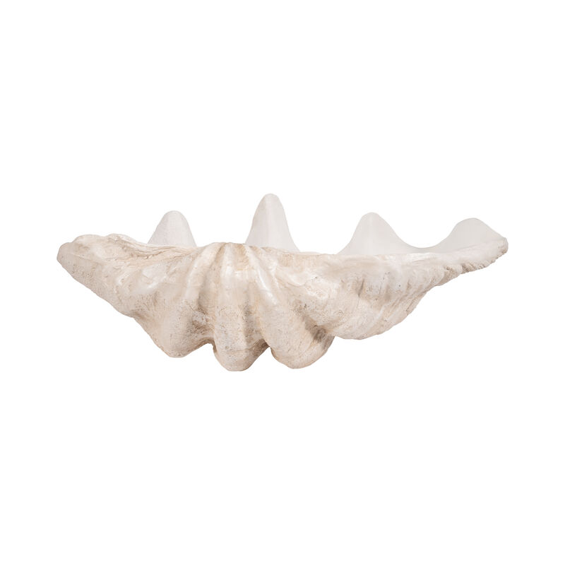 25" Pearlized Clam Shell Bowl image number 3