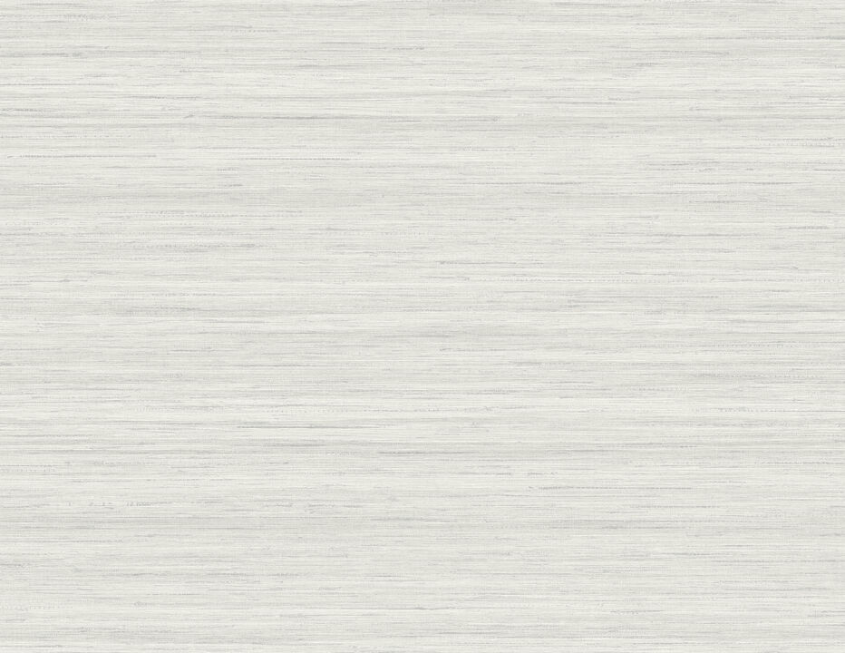 Shantung Slate Silk Wallpaper (Set of 2)
