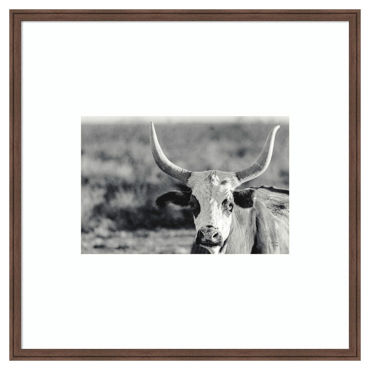 High Desert Herd BW by Nathan Larson Wood Framed Wall Art Print