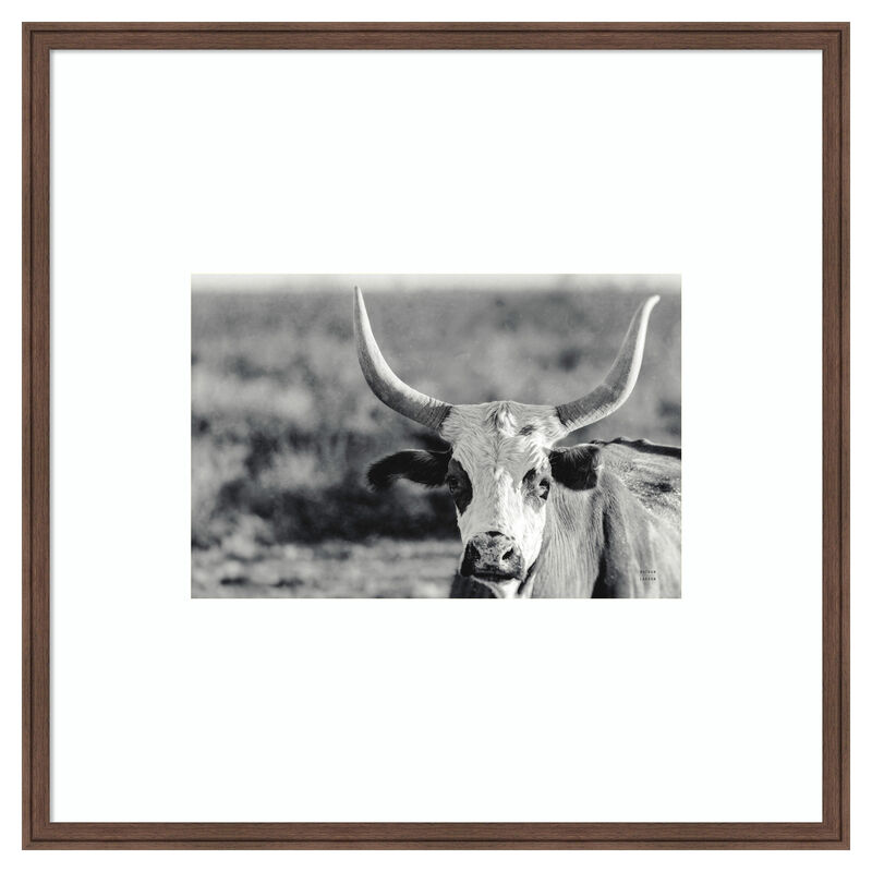 High Desert Herd BW by Nathan Larson Wood Framed Wall Art Print image number 0