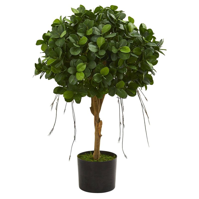 Nearly Natural 2.5-in Panda Ficus Artificial Tree