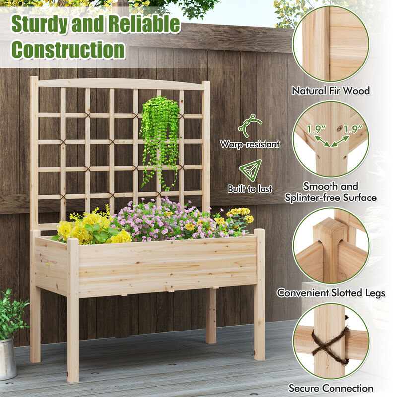Raised Garden Bed with Lattice Trellis and Drainage Holes Elevated