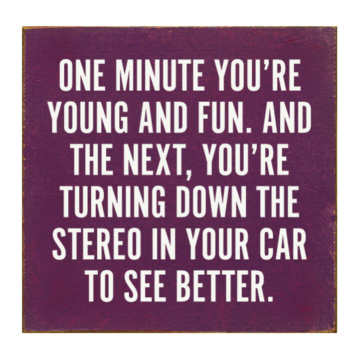 Funny Aging Quote Wood Sign One Minute You're Young and Fun Rustic Home Wall Decor