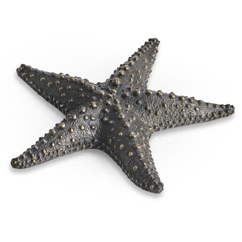 Dark Bronze Starfish image number 0