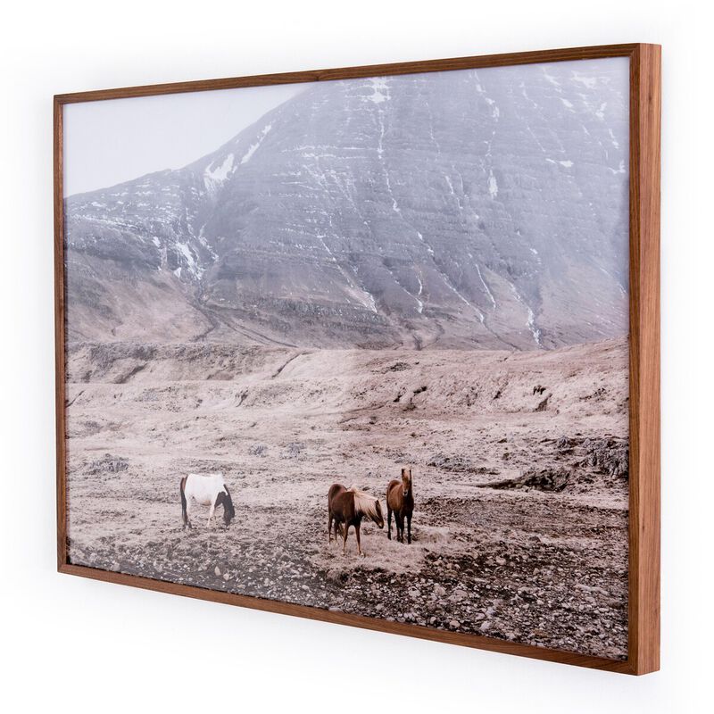 Wild Horses image number 2