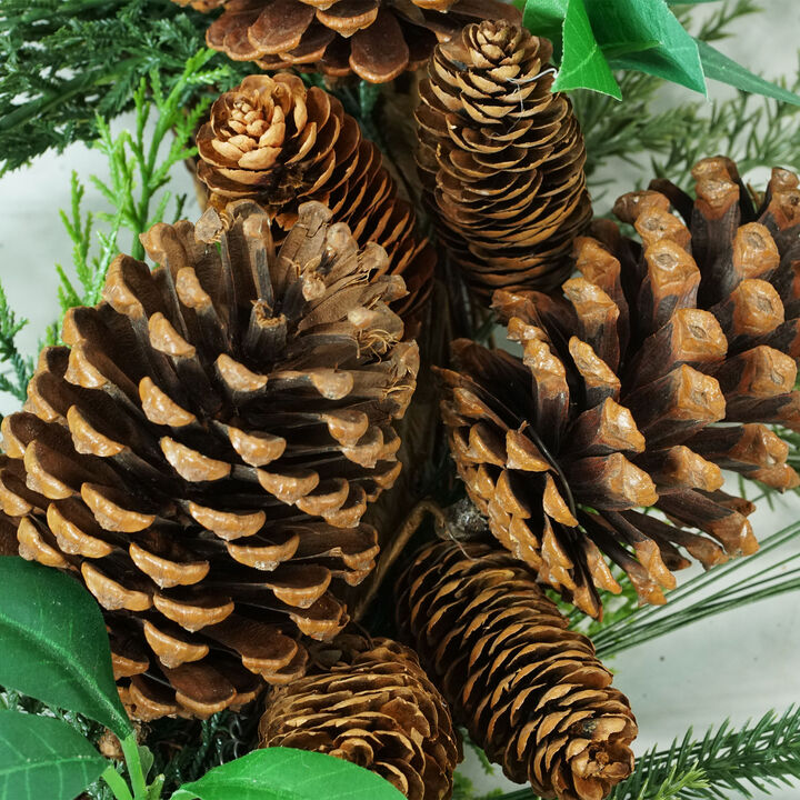 Green Foilage with Mixed Pinecones Artificial Christmas Wreath - 24-Inch  Unlit