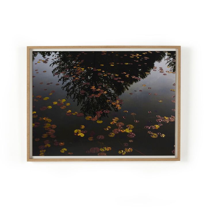 Echo By Shade Degges