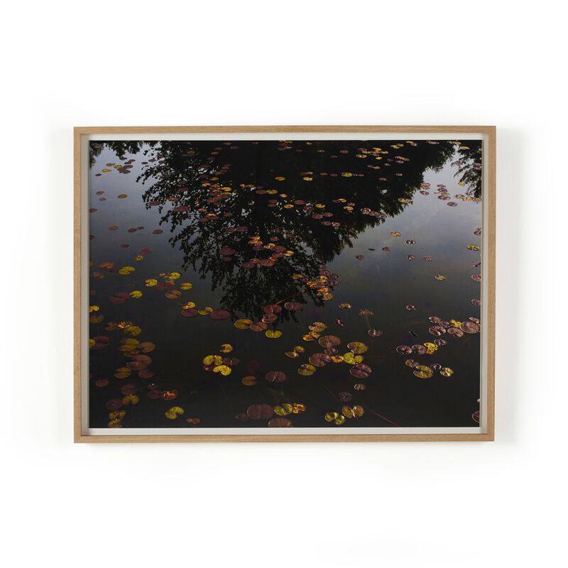 Echo By Shade Degges