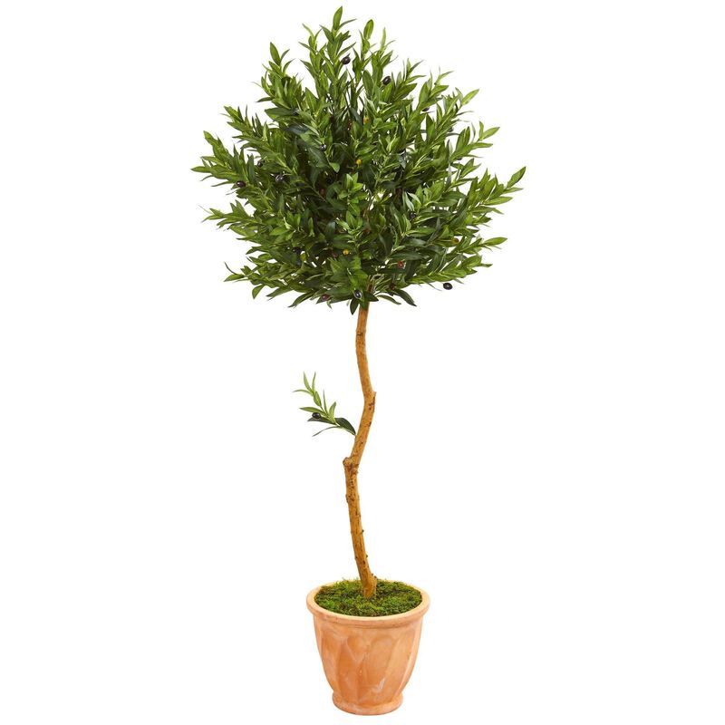 Nearly Natural 63-in Olive Artificial Tree in Planter UV (Indoor/Outdoor) image number 1