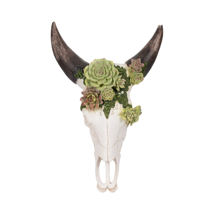 18" Bull Skull With Succulents