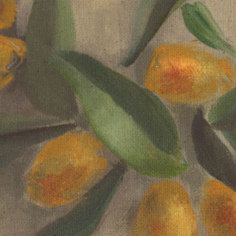 Citrus Still Life by Jess Engle image number 3