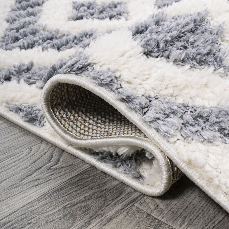 Astrid Retro Trellis High-Low Area Rug