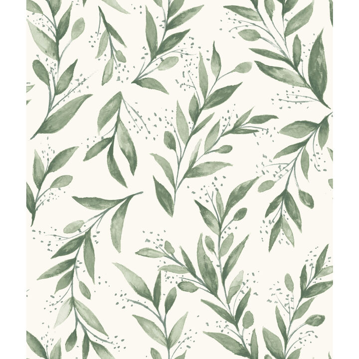 Olive Branch Olive Grove Wallpaper