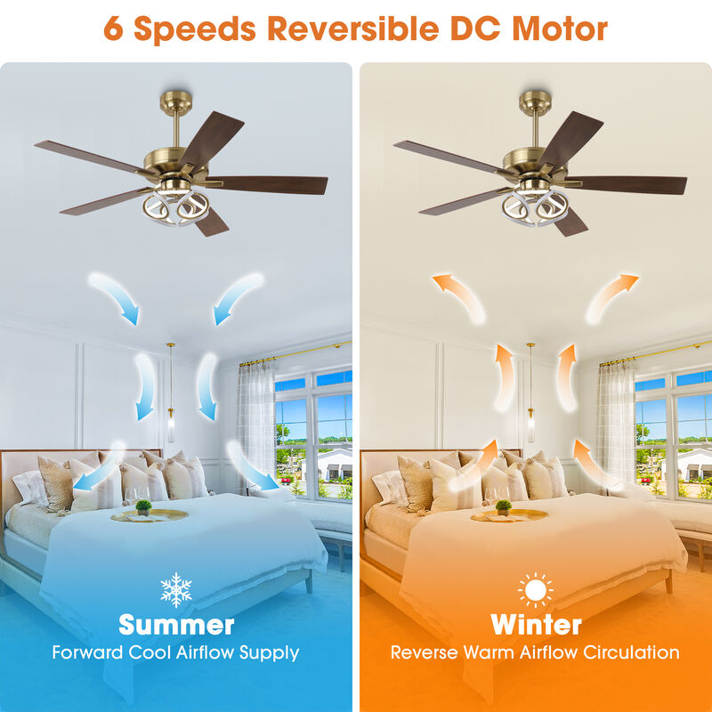52 in. Modern Gold Dimmable Smart Ceiling Fan with RGB LED and APP Control, Remote