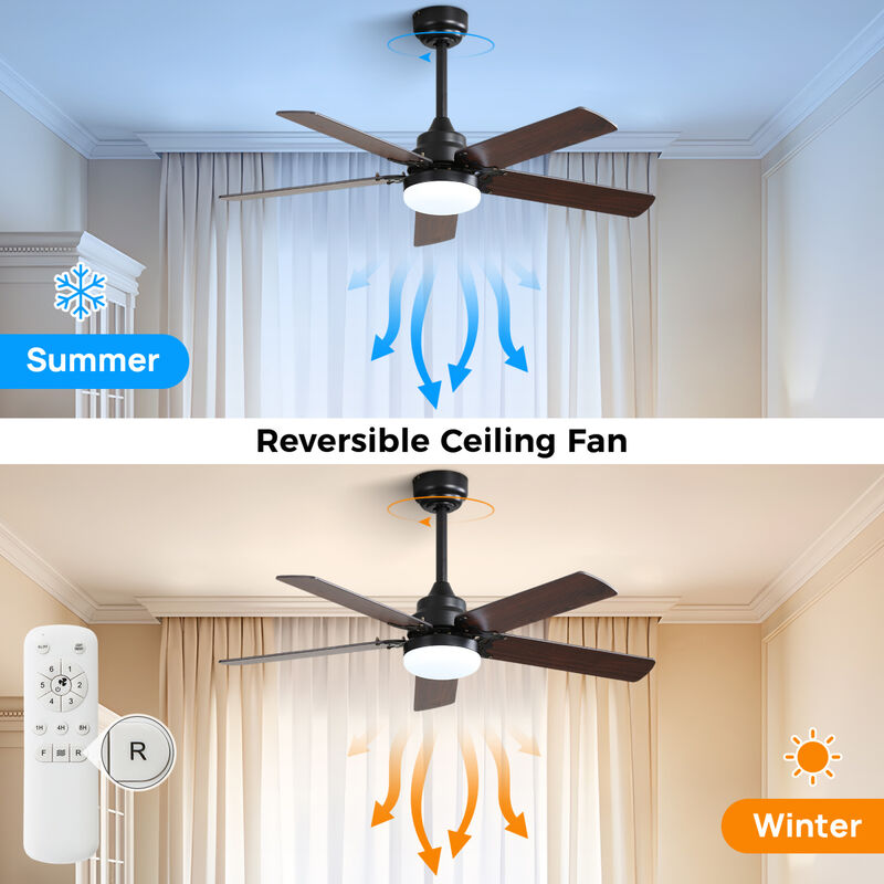 ELEMENT ACE Modern Ceiling Fan With LED Light and Remote Control for Year-Round Comfort image number 7