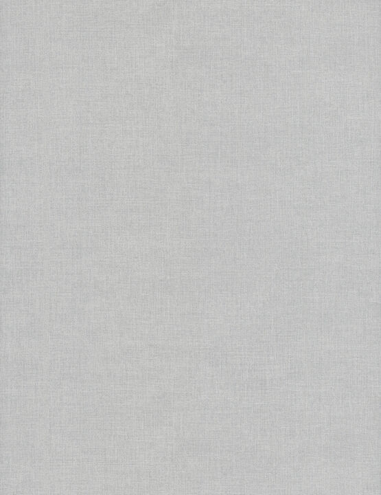 Su Tela Fog Wallpaper