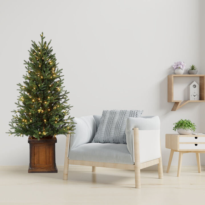 4.5 Foot New Haven Fraser Fir Potted Tree