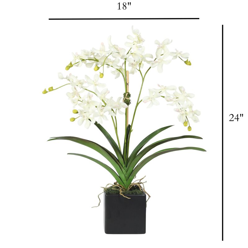 Orchid Arrangement in Vase - 24" image number 3