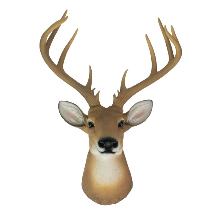 12 Point Buck Deer Head Bust Wall Hanging