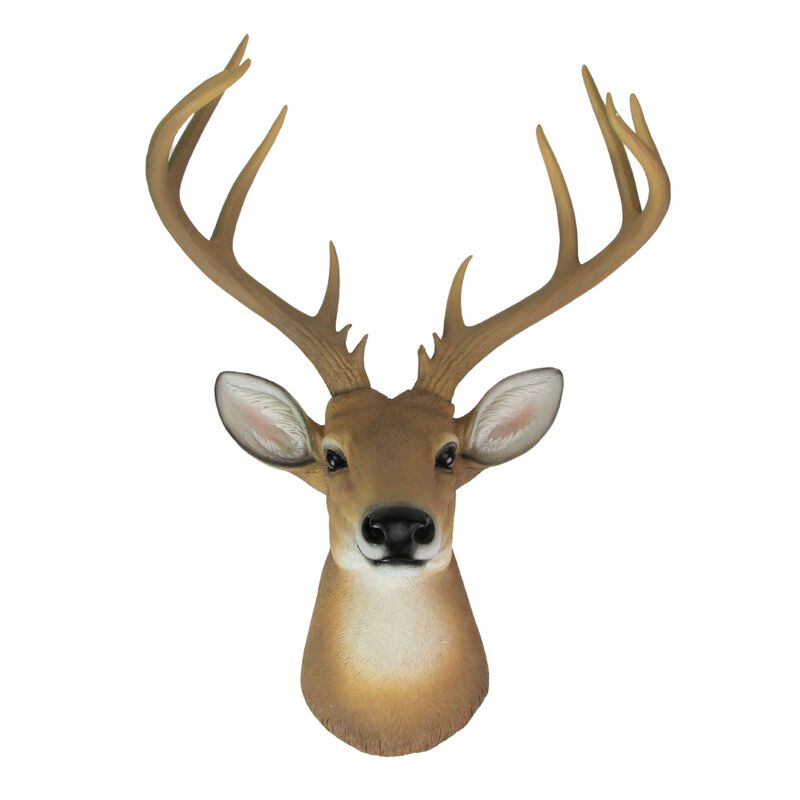12 Point Buck Deer Head Bust Wall Hanging image number 0