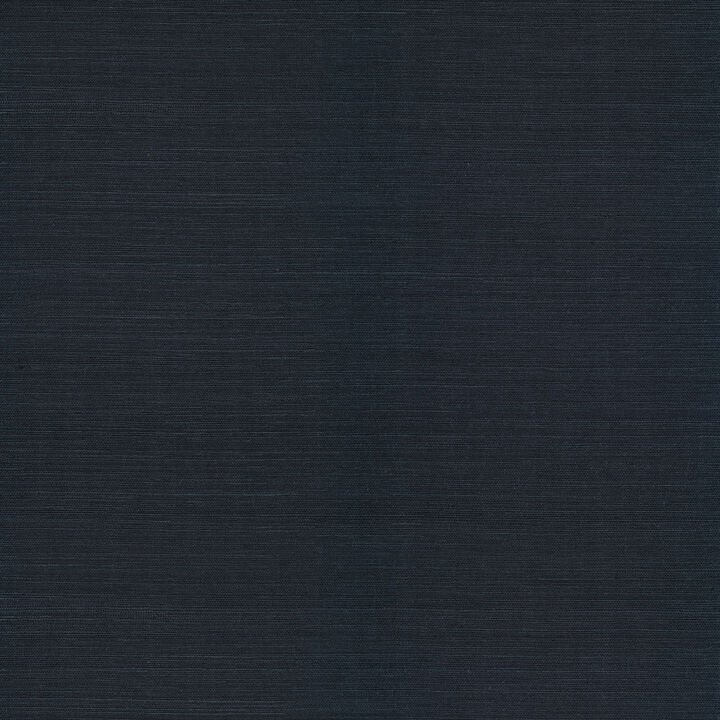 Peninsula Navy Sisal Grasscloth Wallpaper (Set of 2)