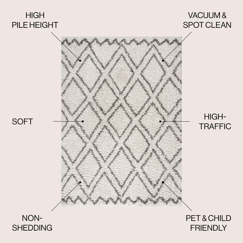 Soller Diamond Trellis Shag Area Rug
