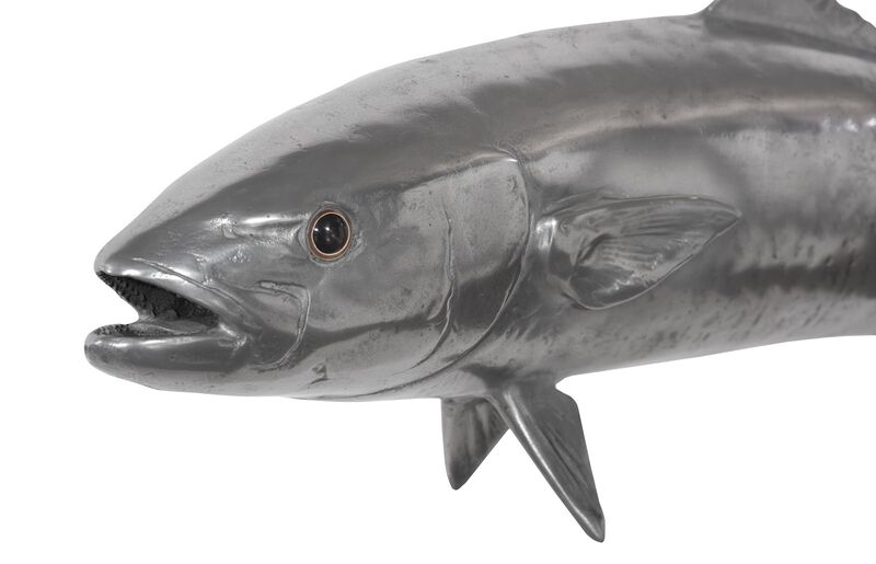 Yellow Tailed King Wall Sculpture