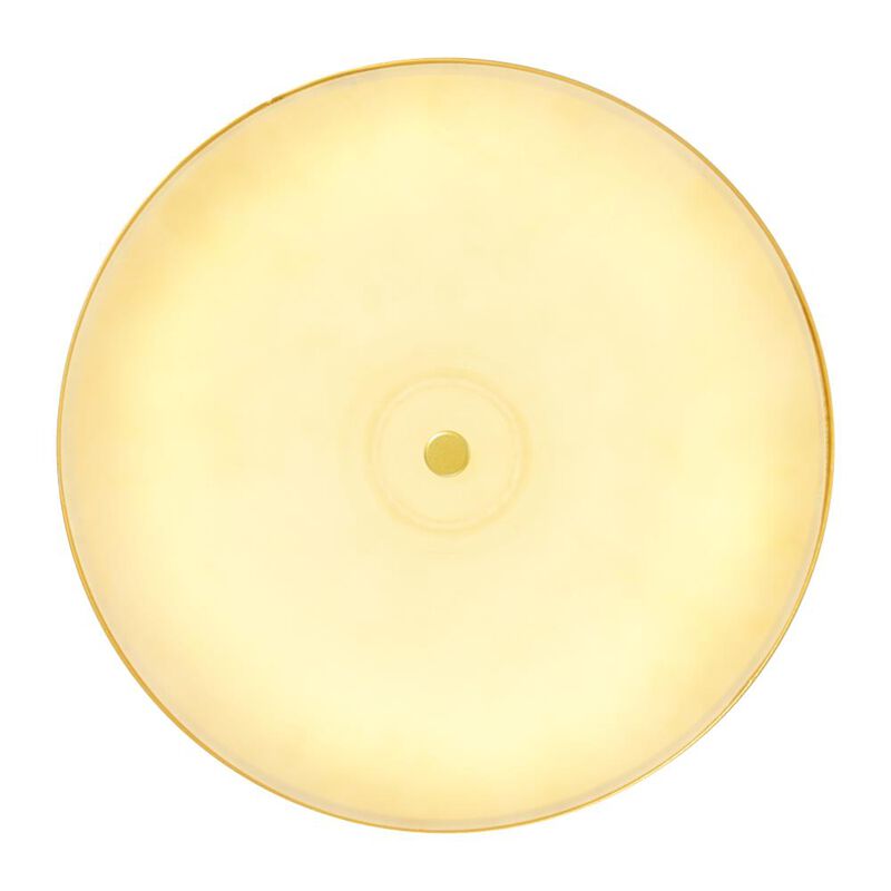 Saleen LED Mini Pendant With Sun Gold & Black Finish