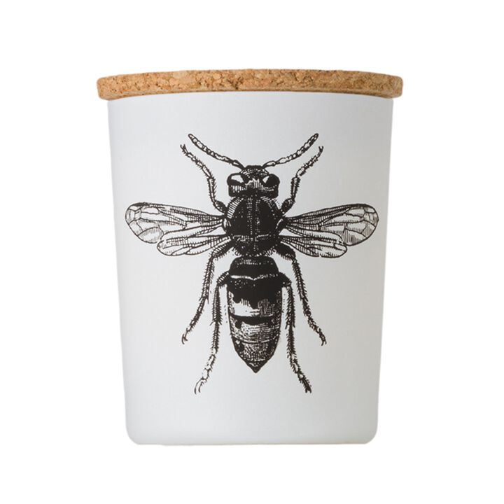 Candle in Jar INSECT 75gr CALABRONE 2.36 diam. x 2.95 in