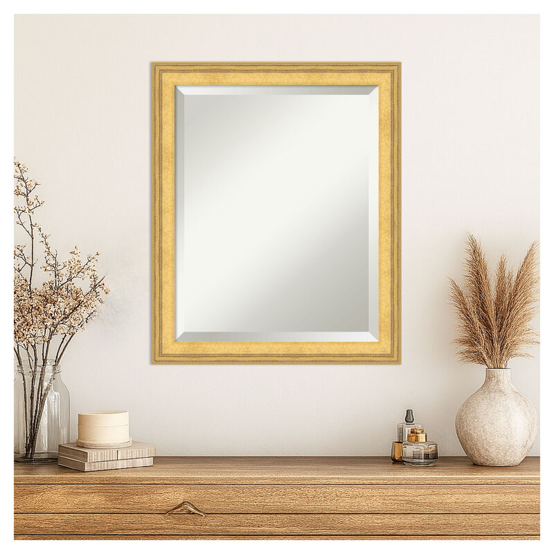 Owen Gold Beveled Wood Framed Wall Mirror