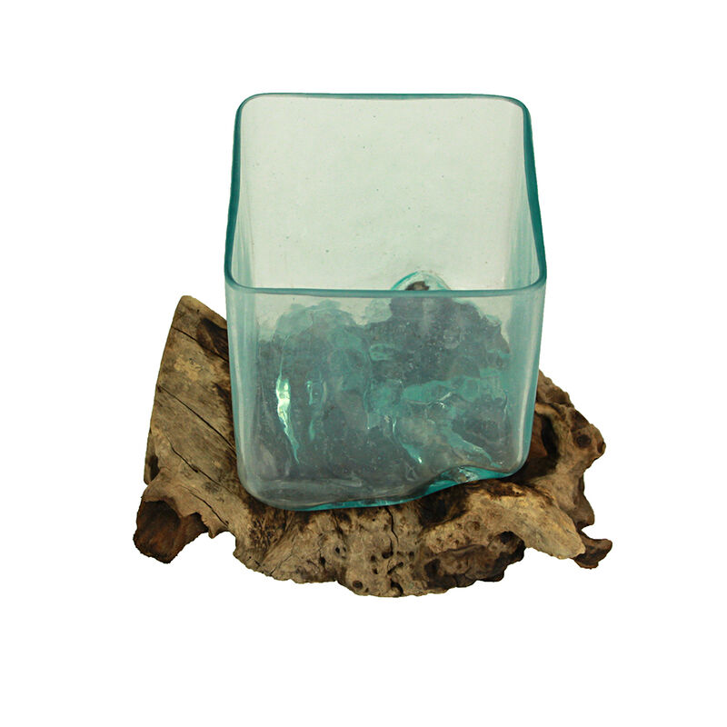 Teak Driftwood Glass Square Vase/Bowl - 8" High - Nature-Inspired Decor image number 1