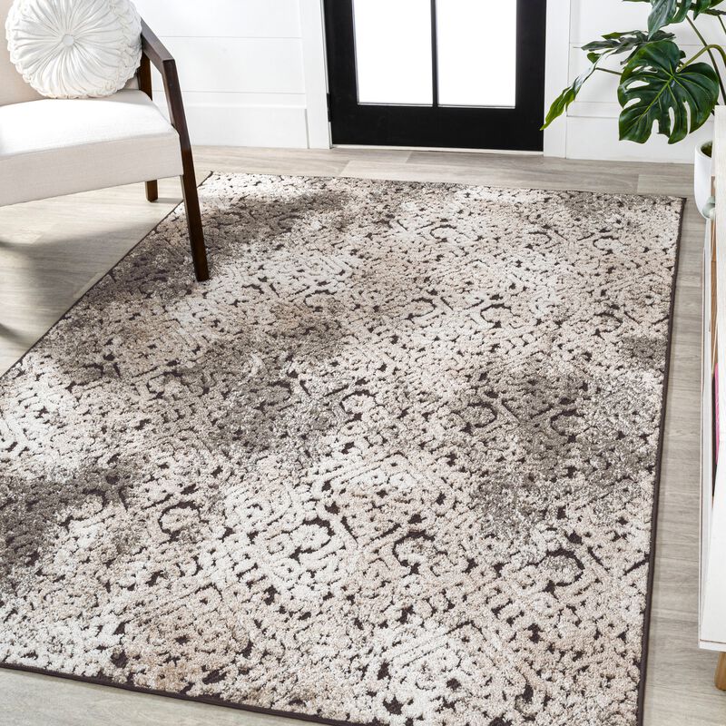 Duenas High-Low Shabby Damask Area Rug