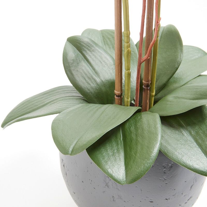 Artificial White Double Stem Orchid image number 3