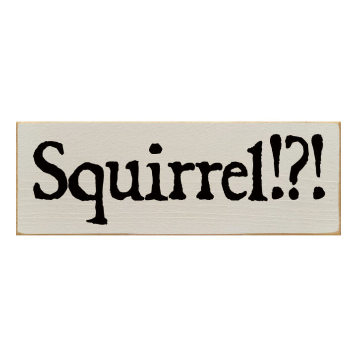 Squirrel Wood Sign Rustic Farmhouse Wall Decor for Living Room, Cabin or Entryway