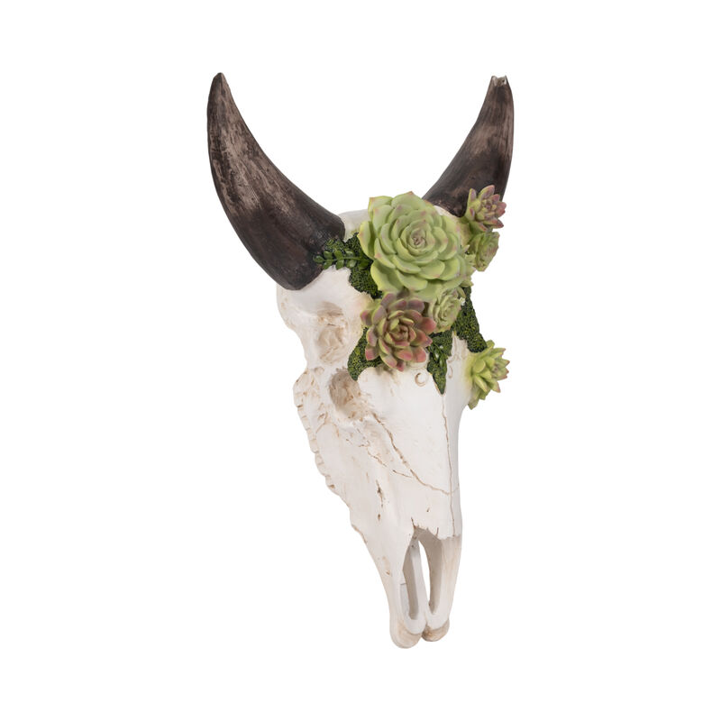 18" Bull Skull With Succulents image number 1