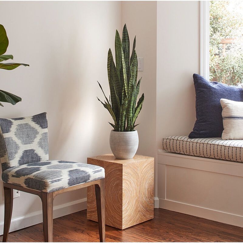 Artificial Snake Plant with Artisan Planter image number 9