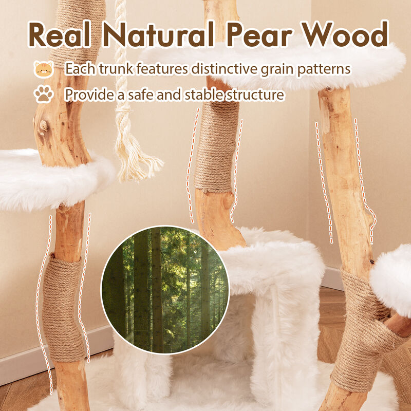 66-Inch Tall Solid Wood Cat Tree, Modern Wooden Cat Tower with Perch for Cats