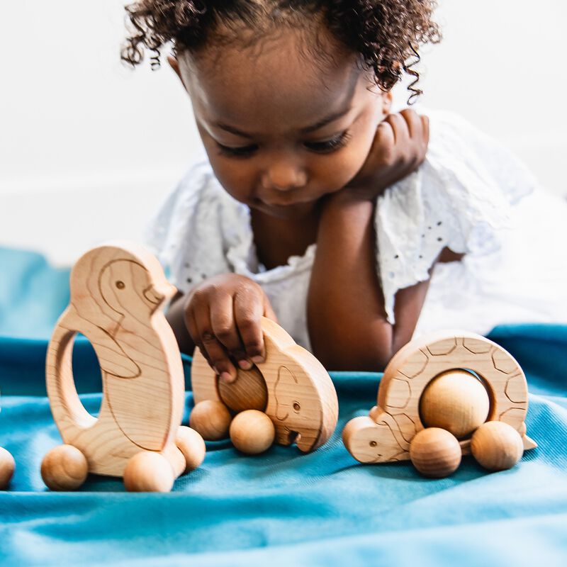 Roly Poly Elephant Push Toy image number 1