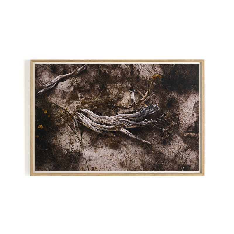 Bough By Shade Degges