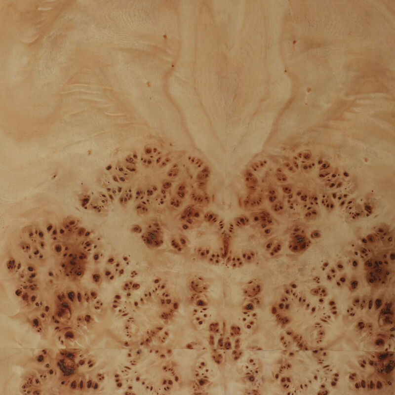 Rectangular Burl Bench image number 5