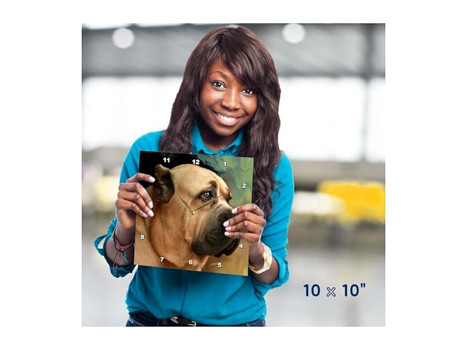 Cane Corso Wall Clock 10 Inch Home Decor